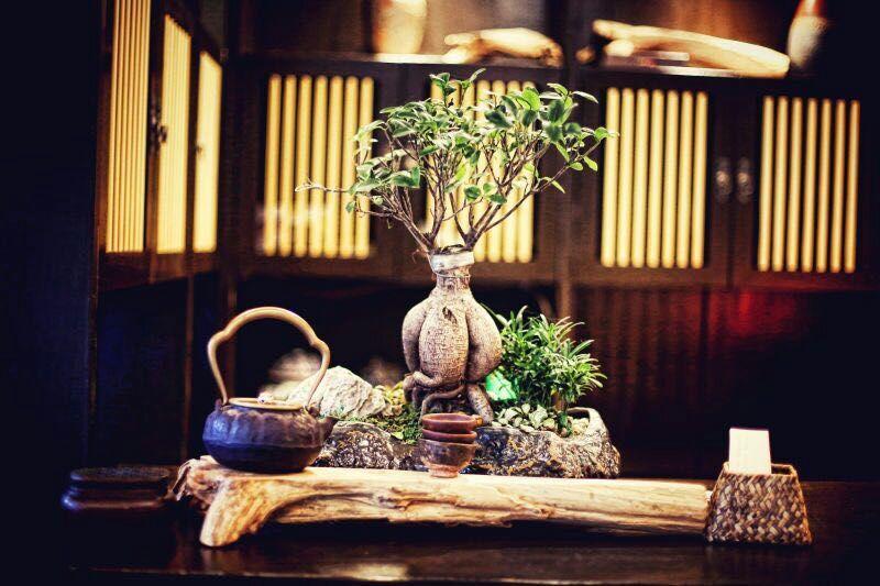 Ningbo Zhengfang Inn ภายนอก รูปภาพ